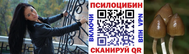 Галлюциногенные грибы ЛСД  kraken ссылки  Усть-Катав 